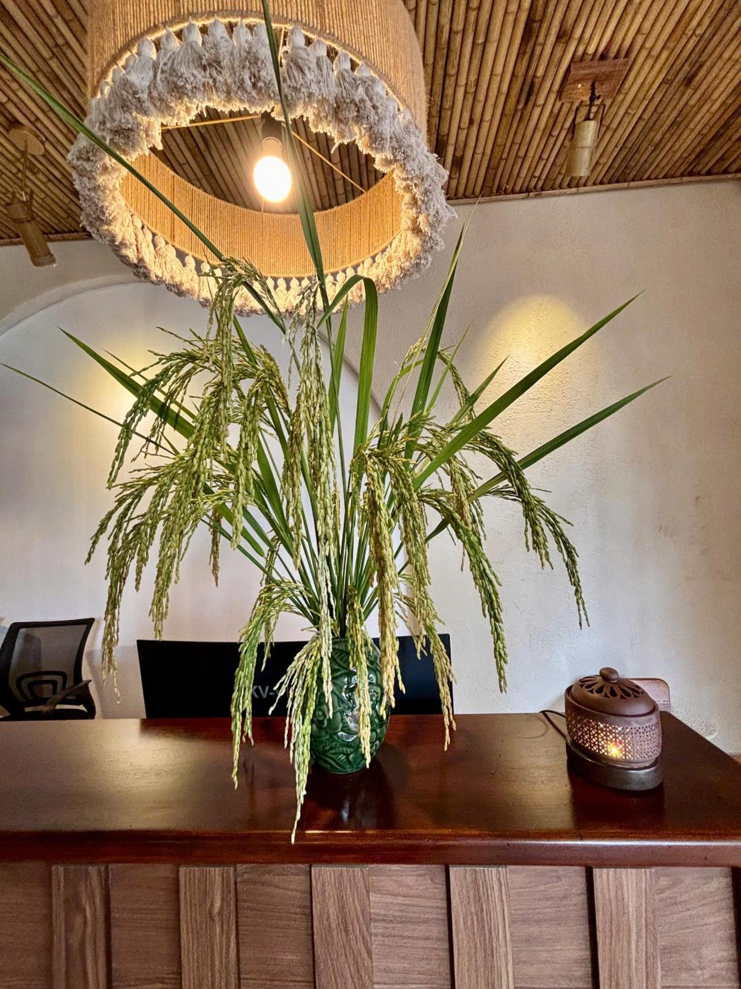Truong Giang Boutique Hotel Lang Mon Екстер'єр фото